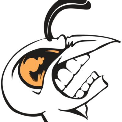 BAW BEE 19 RC Thumbnail