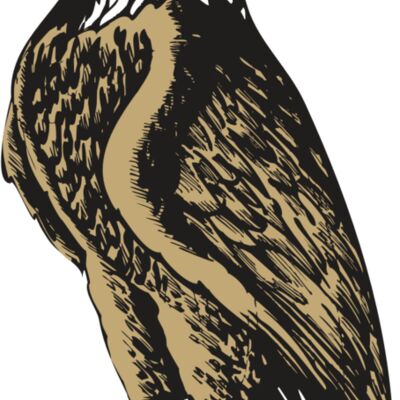 BAW EAG 02 RC Thumbnail